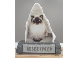 Permanite Pets Memorial Bruno Quartz Rock Cat